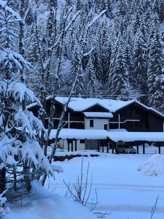 Apartement Morzine Avoriaz