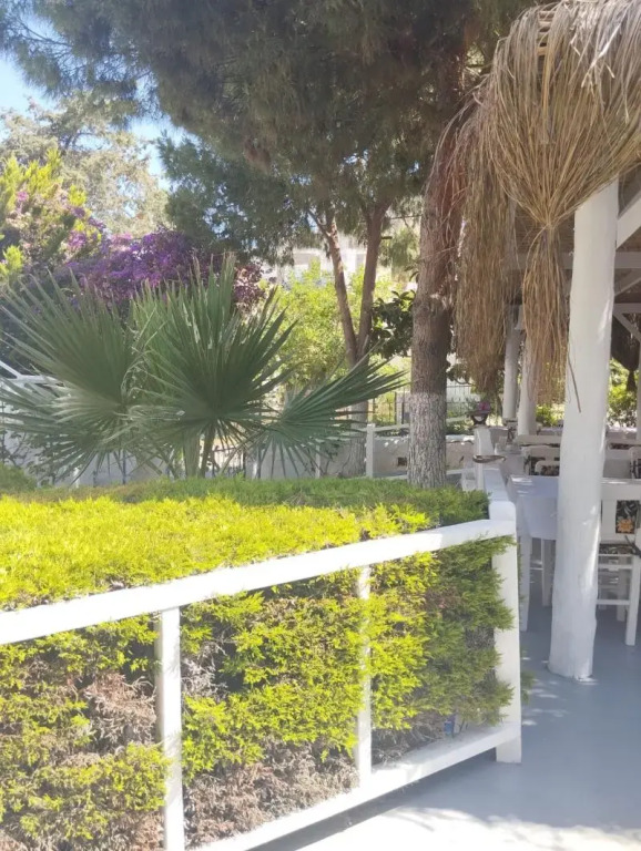 OLO Bodrum Hotel Yalıkavak 8 min Gumusluk 3 min