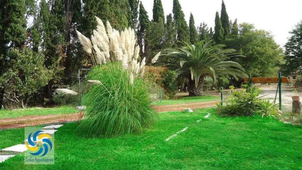 Errika