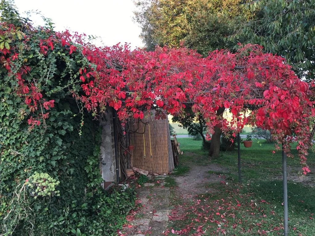 Antico Casale Santa Flora