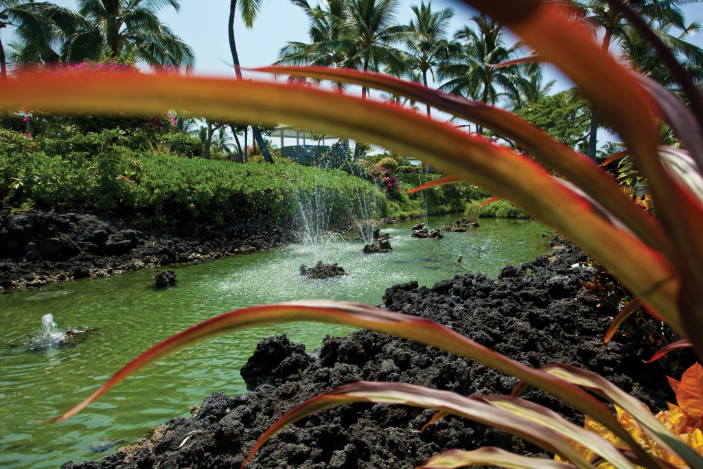 Holua Resort