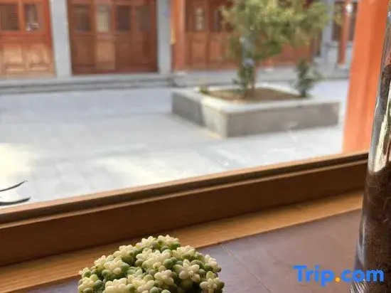 Xiaosenlin Hostel