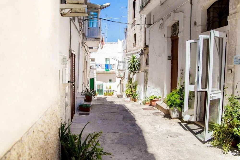 Il Nido Bianco