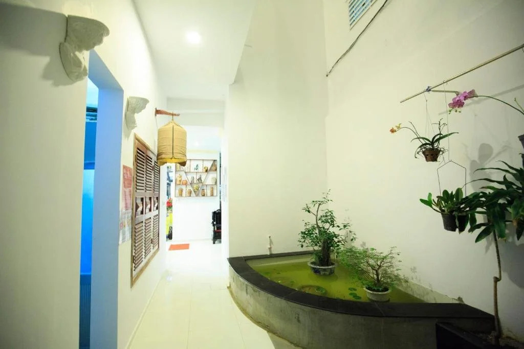 Mimosa Hotel