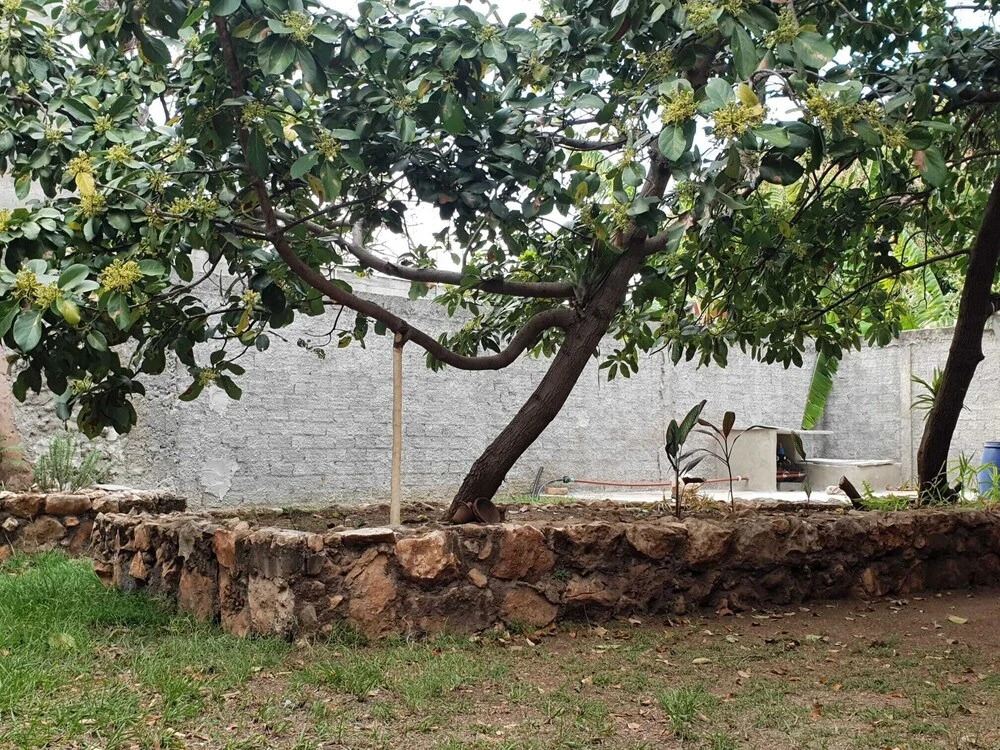 Residencia La Cava