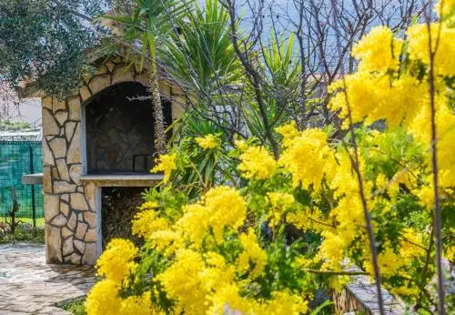 House Bozena
