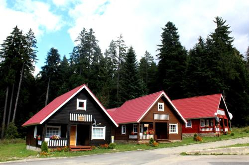 Alpine ski chalet Borovets with sauna