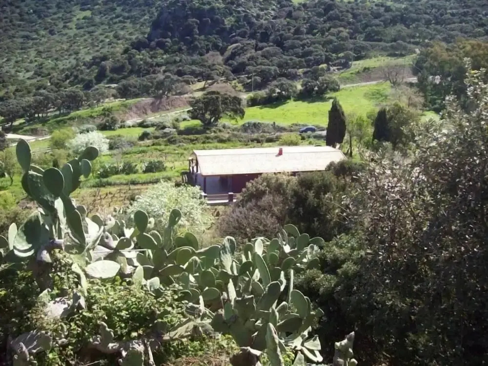 Villa Veronica