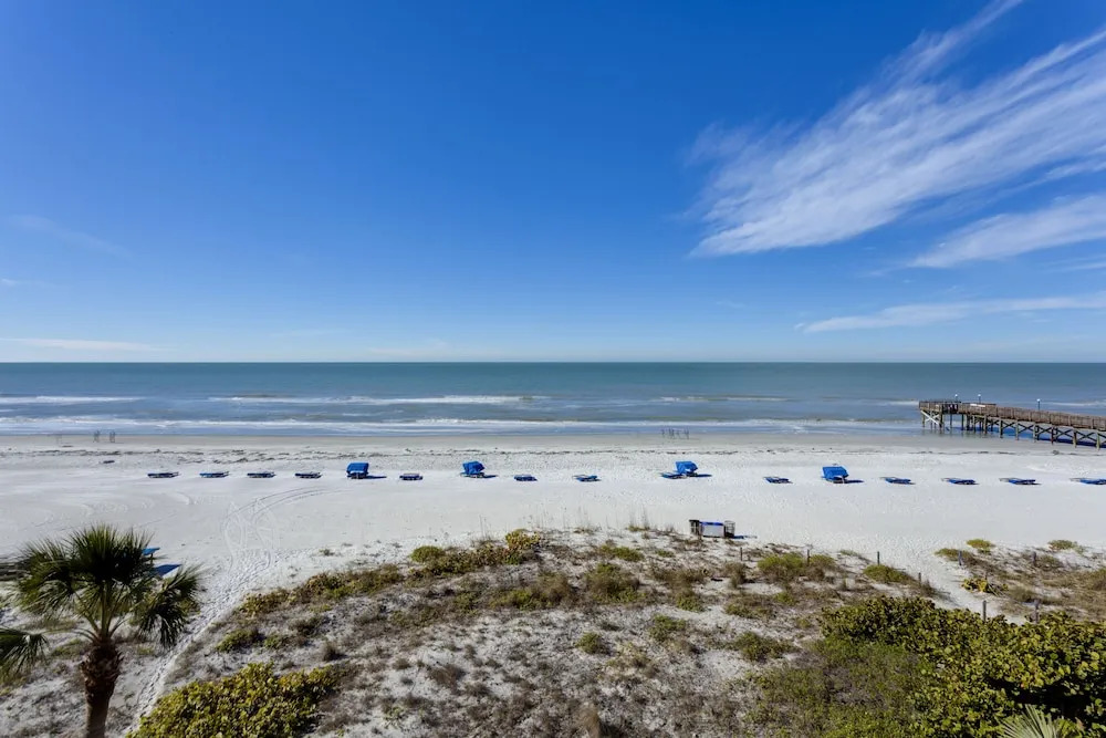 Beach Palms 306