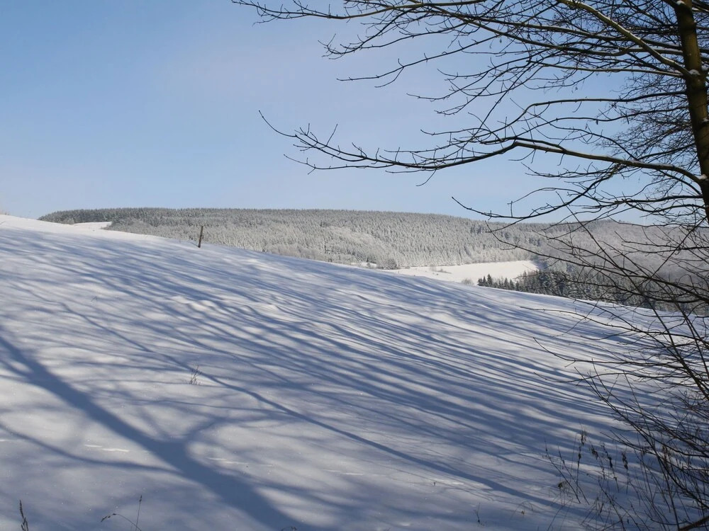 Modern Holiday Apartment Between Willingen And Winterberg with Private Terrace