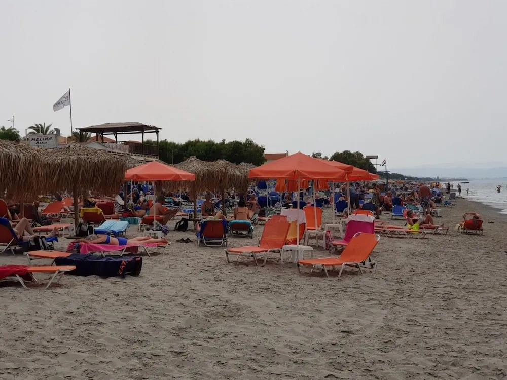 Platania s Horizon