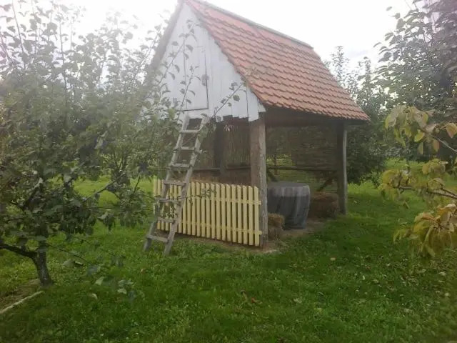 Seoski Turiziam Larva