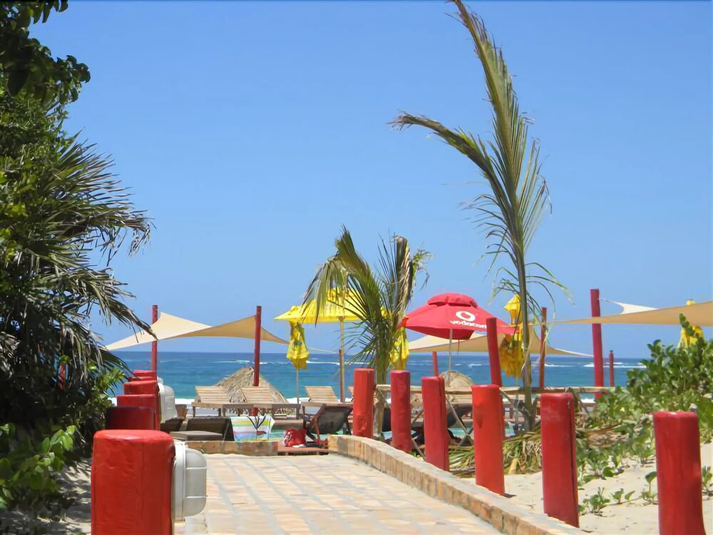 Palm Grove Lodge