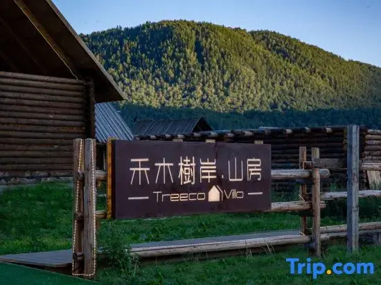 Tree Co Lodge