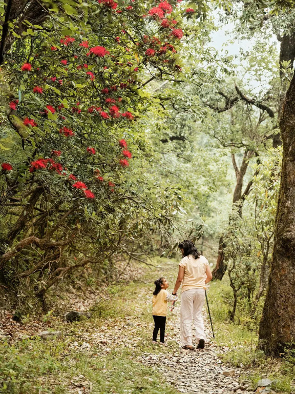 Soulitude in the Himalayas