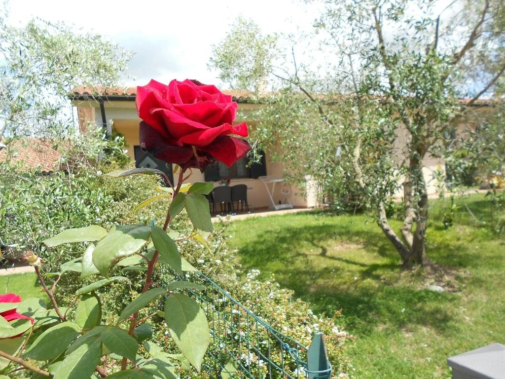 Poggio Degli Olivi
