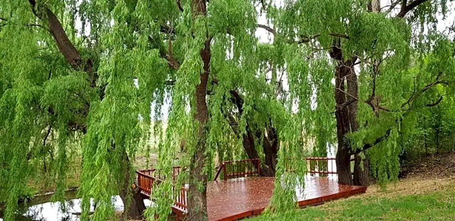 Sema River Lodge