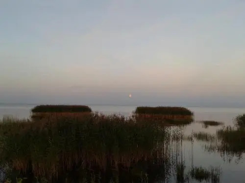 Kalameeste maja
