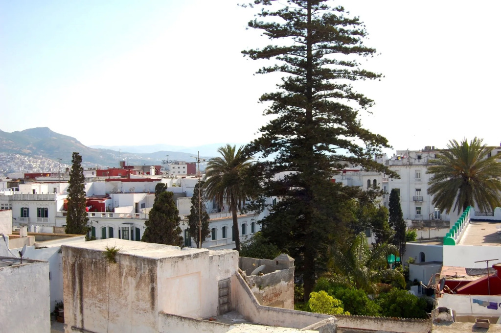 Riad El Reducto