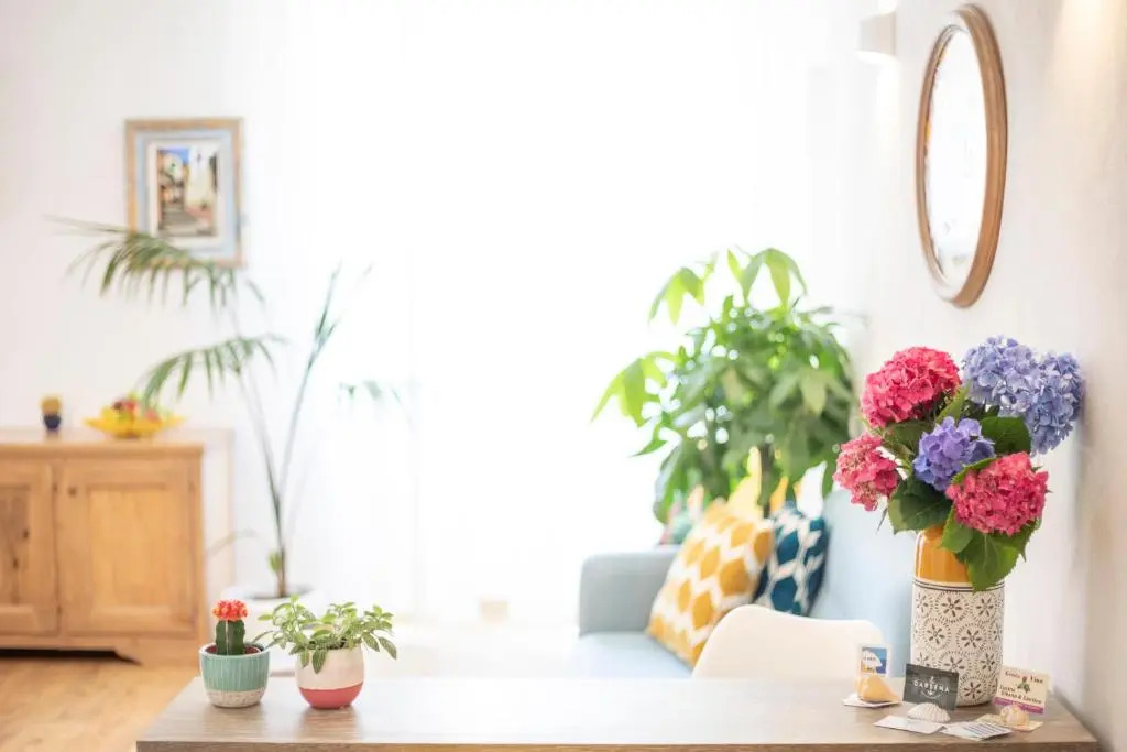 Indarsena b&b