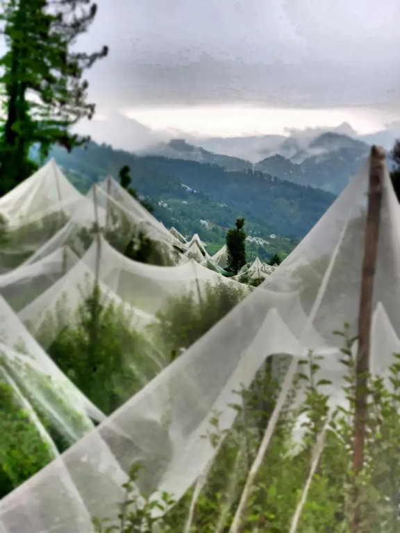 Talai Ghar Homestay