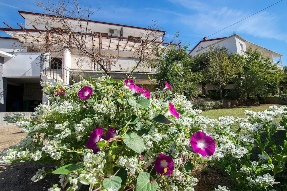 Apartments Simic-with beautiful view