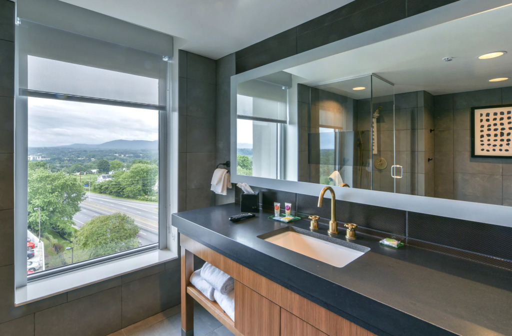 DoubleTree by Hilton Asheville Downtown