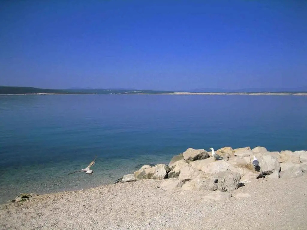 Apartment in Crikvenica 42426