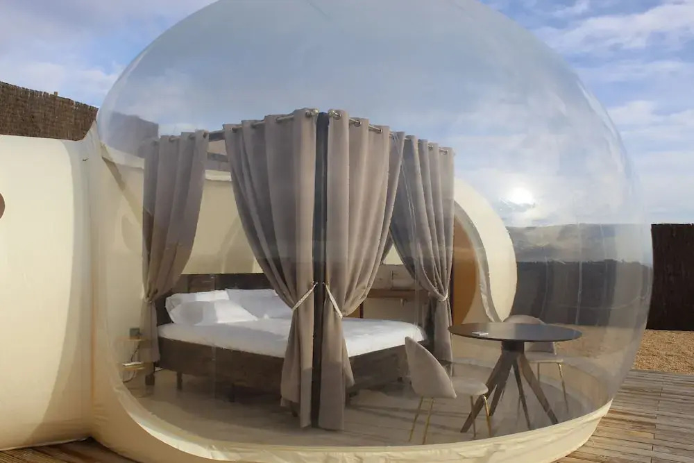 Wine Bubble