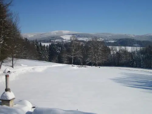 Chalet Lomy