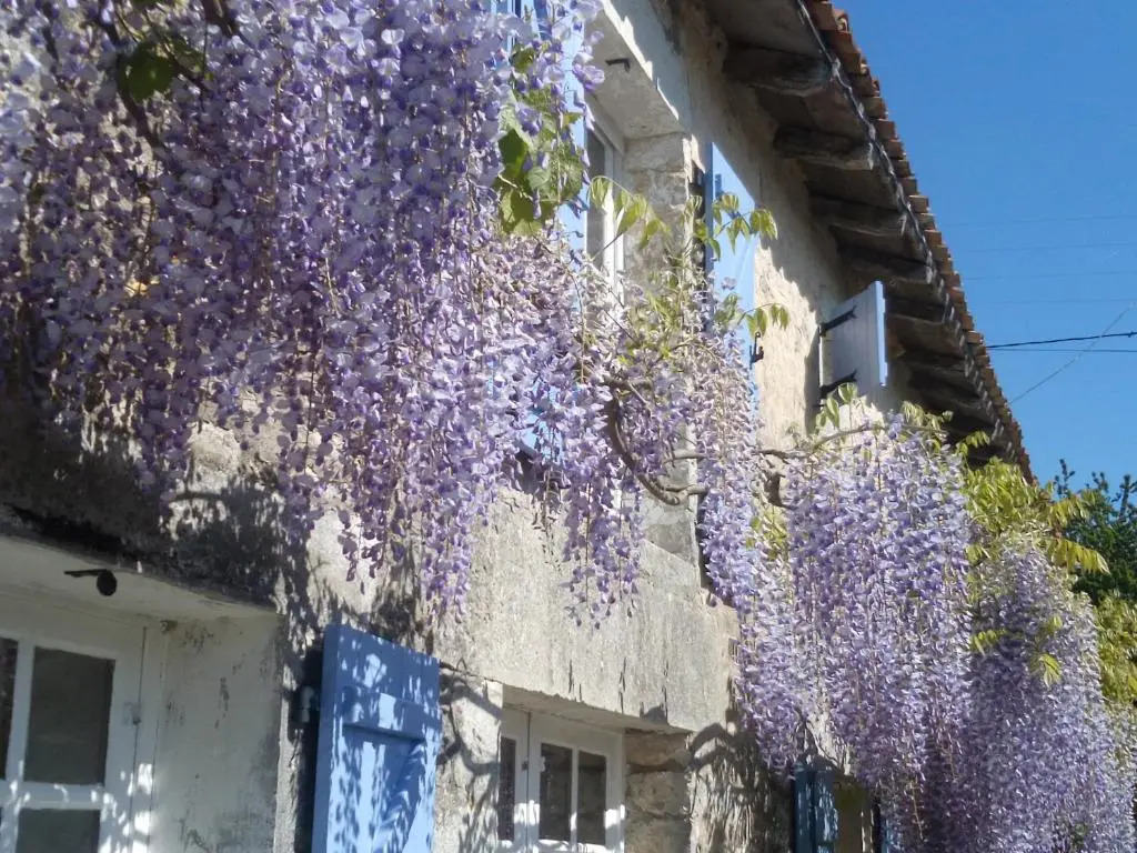 Chat Noir Gite et Chambre DHotes