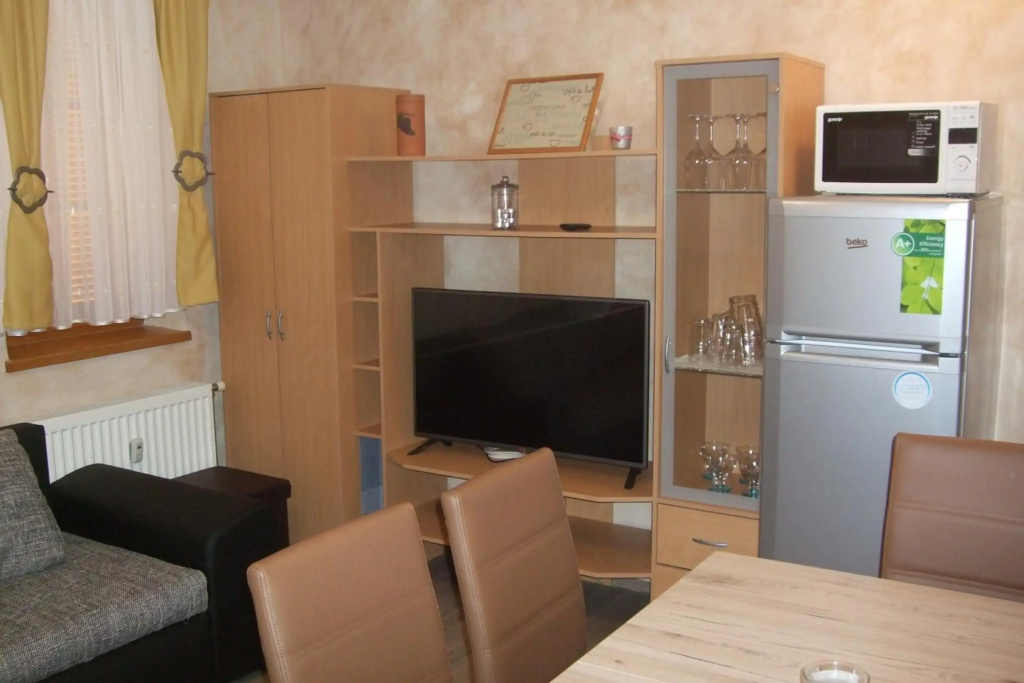 Apartment Borovnica