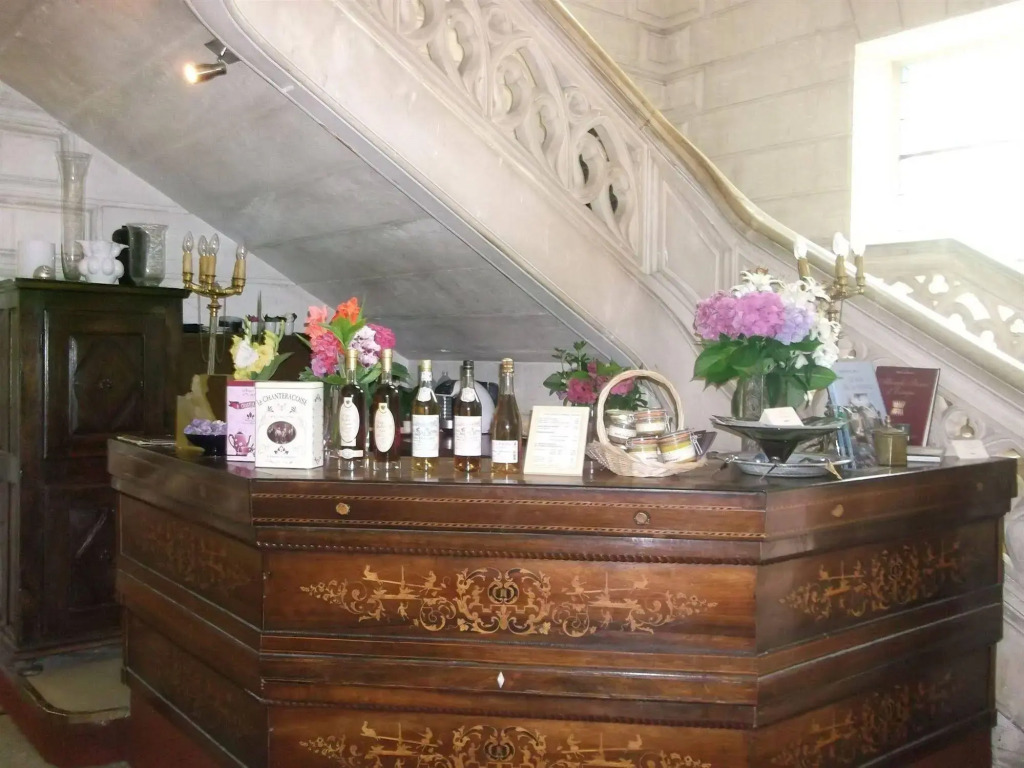 Château De Nieuil