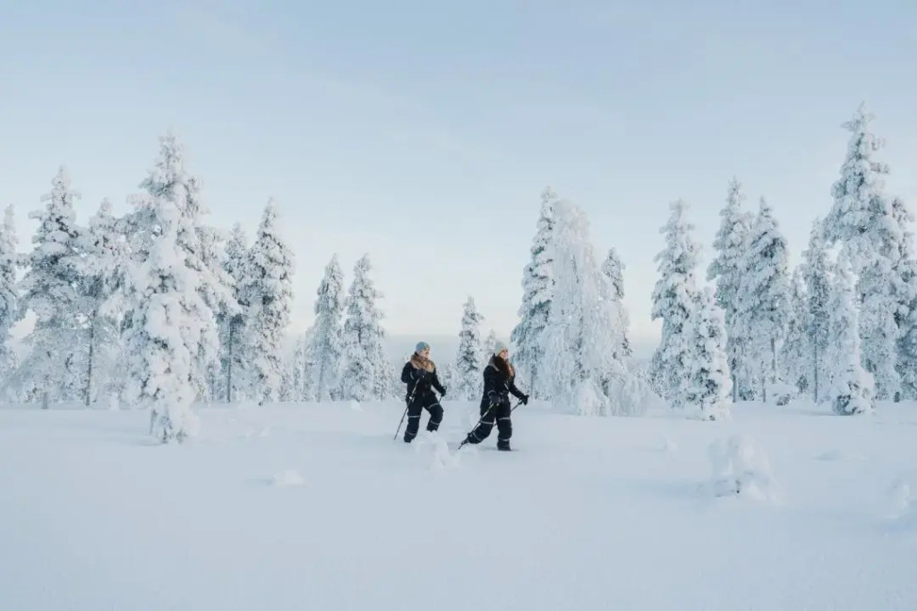 Wilderness Hotel Muotka & Igloos