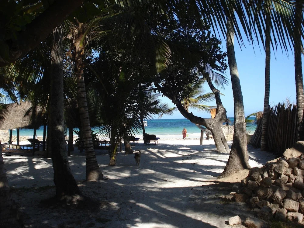 Coconut Beach Apartments