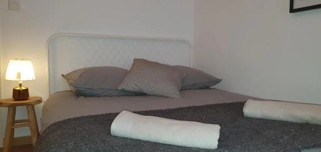 SANTOCHA : appartement en plein coeur de ville !