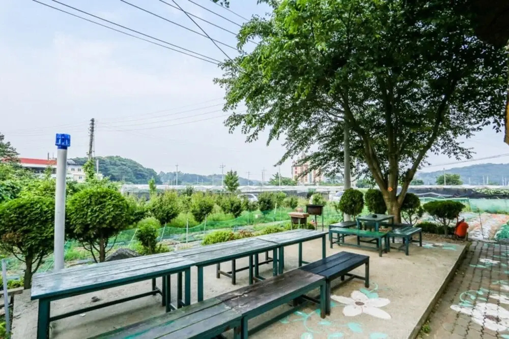 Daebudo Firefly Pension