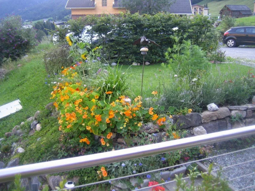 Haus Susi - Ferienwohnung