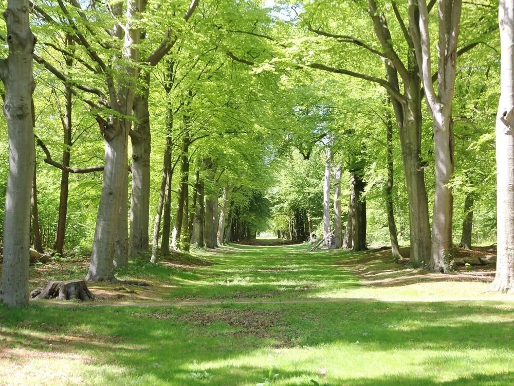 De Zilvermeeuw 2 Person Studio