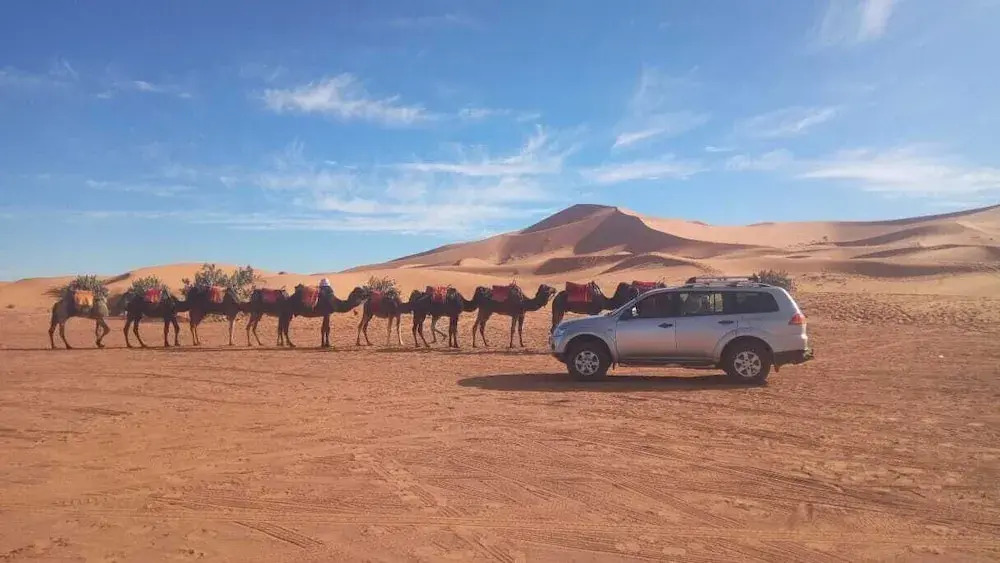 sahara desert camp