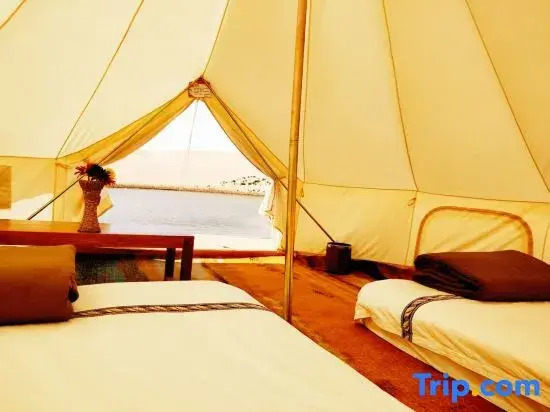 Tengger Desert Yingsha Good - dream Desert Campground