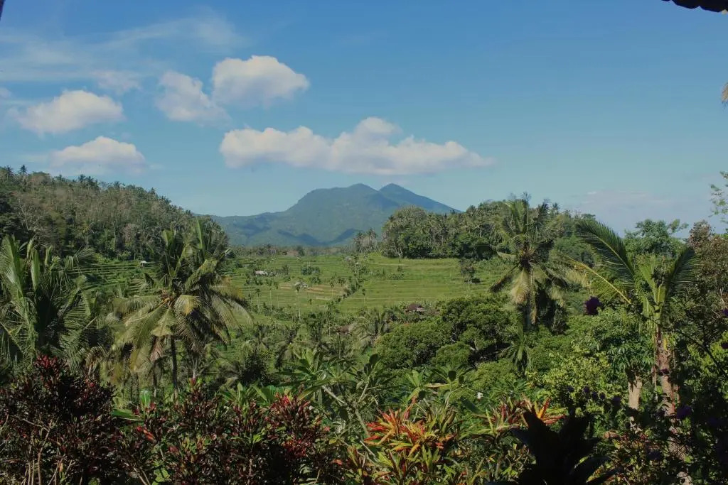 Pondok Lembah Dukuh Homestay