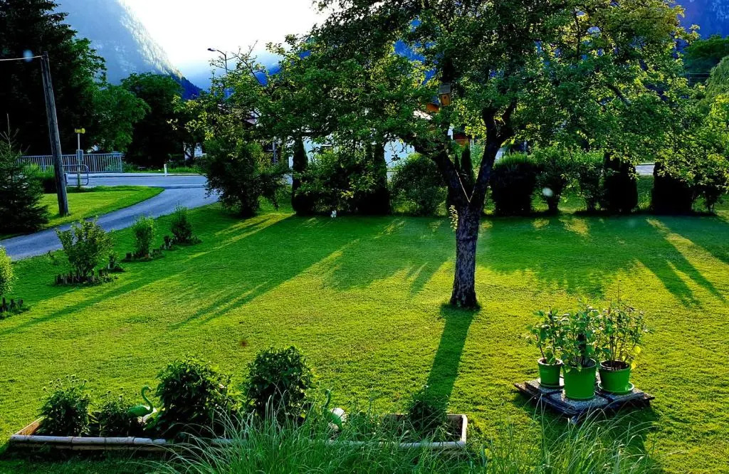 Haus Alpenblick