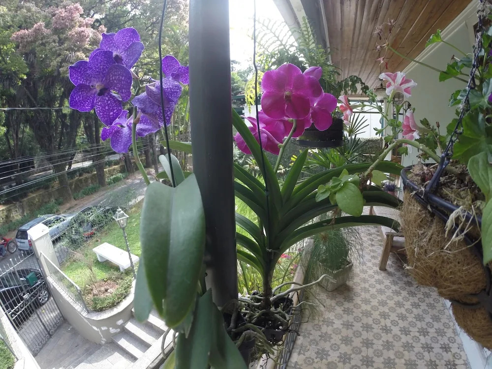 Pousada Ace Palace