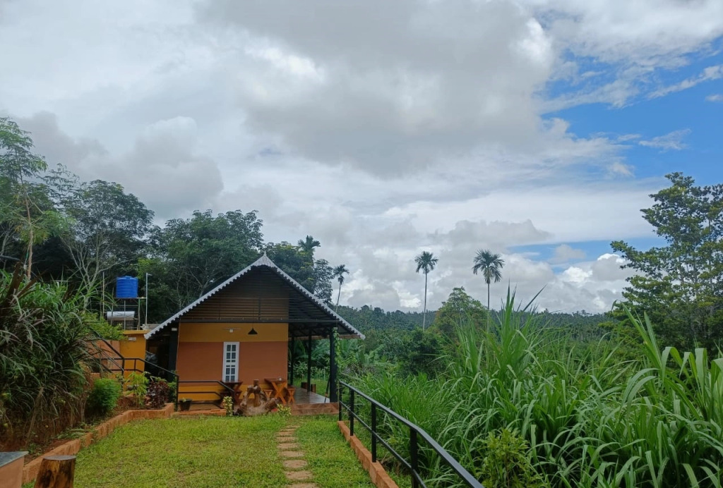 Agronest Farm by LivingStone