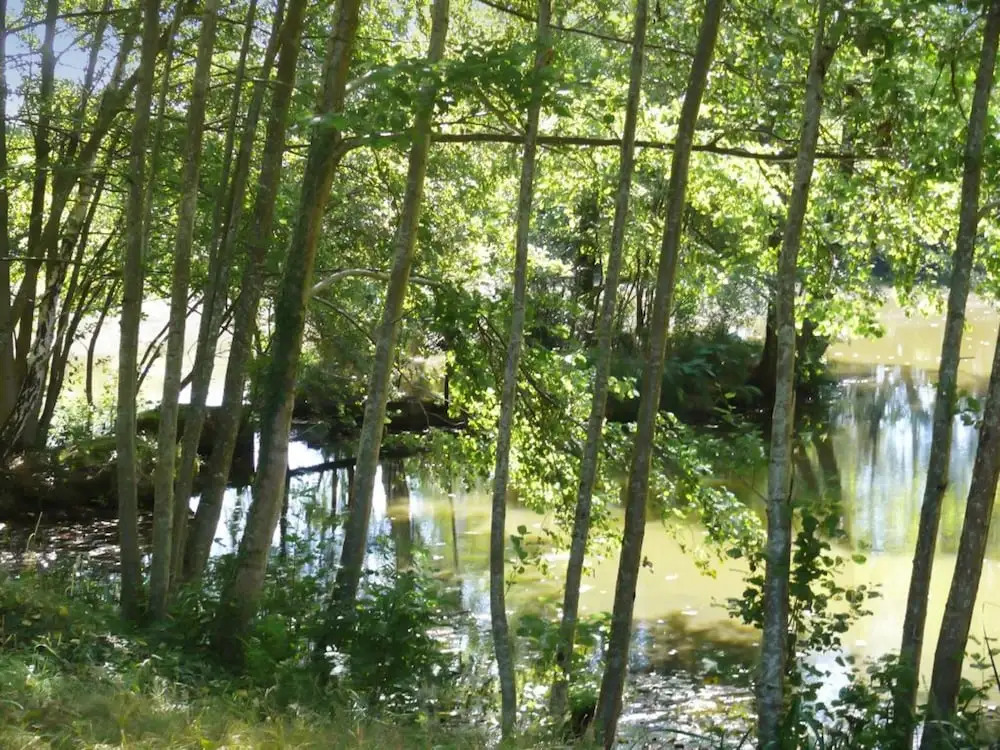 House With 2 Bedrooms in Lourdoueix Saint-pierre, With Wonderful Lake