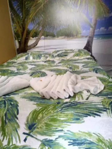 Xua Hostel Santos