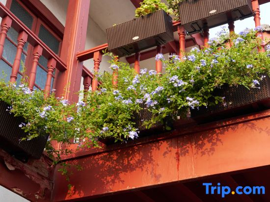 Two Holly Trees Coastal Courtyard Homestay (Yantai Mountain Scenic Area)