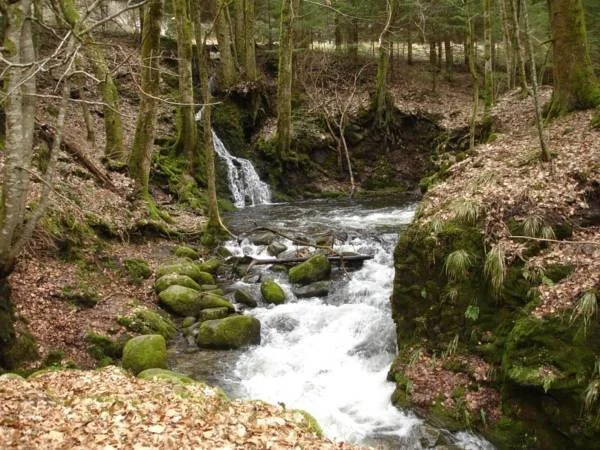 La Ferme Des Granges