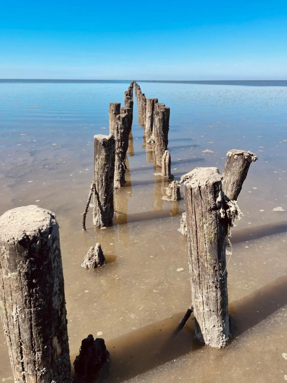 Ferienwohnung „Deichgeflüster“ nahe der Nordsee